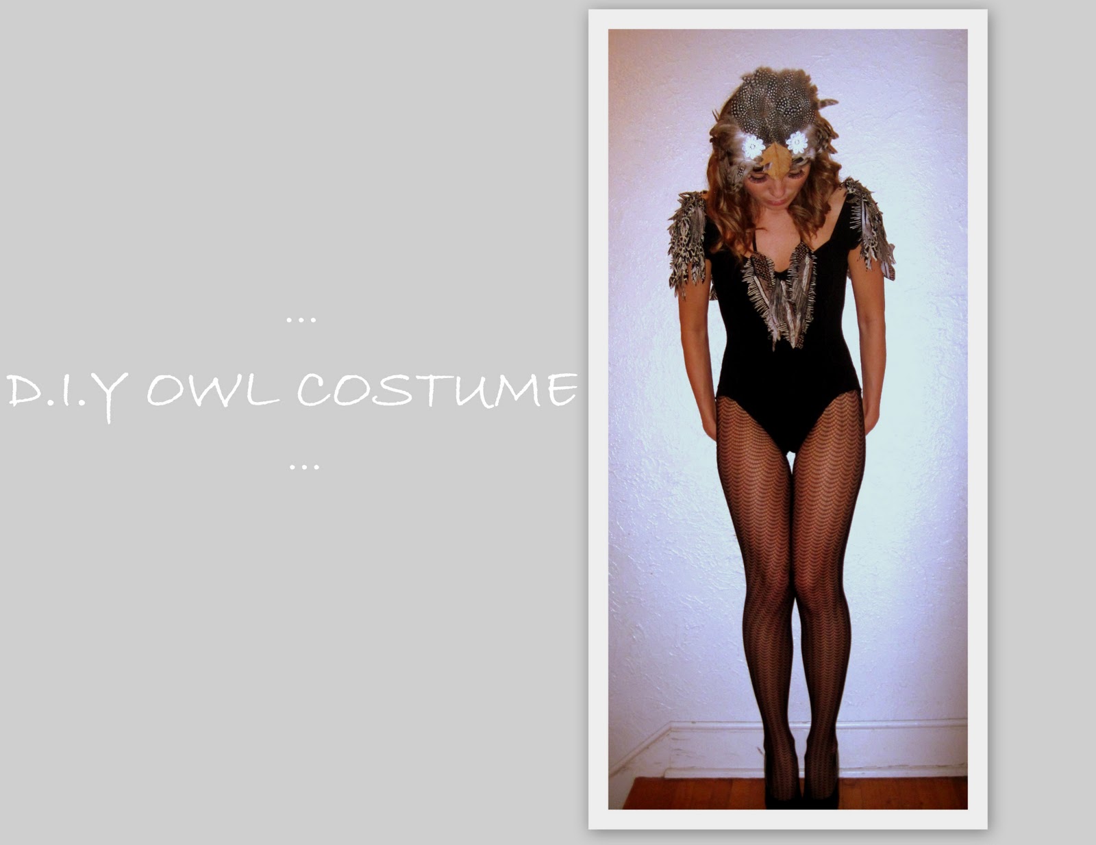 Holly Owl Halloween Costume leotie lovely d i y owl costume Holly Owl Halloween Costume leotie lovely d i y owl costume