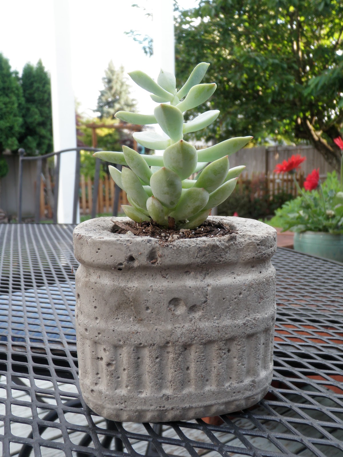 Concrete plant pots from old bottles and containers Concrete planters