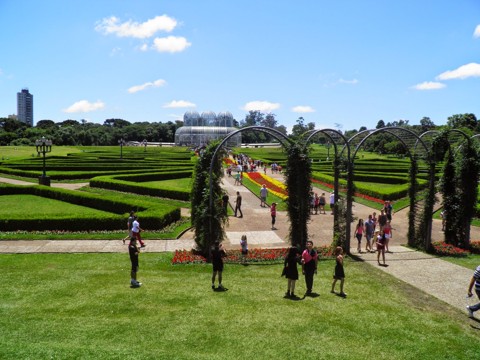 jardim plantas nativas:Jardim de Plantas Nativas de Curitiba jardim plantas nativas:Jardim de Plantas Nativas de Curitiba