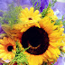 Flowers and Bears