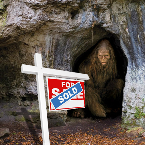 Bigfoot News Bigfoot Lunch Club Estately 11 Best and 5 Worst States