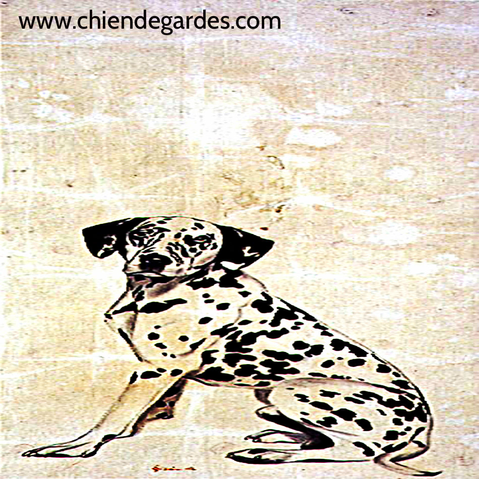 Le Dalmatien chien de garde - chien de garde Le Dalmatien chien de garde - chien de garde