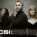 CSI: Crime Scene Investigation :  Season 14, Episode 15