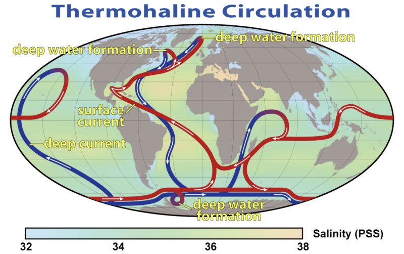 Science4u Shutdown of thermohaline circulation