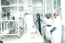 Laboratório passa a certificar pescado