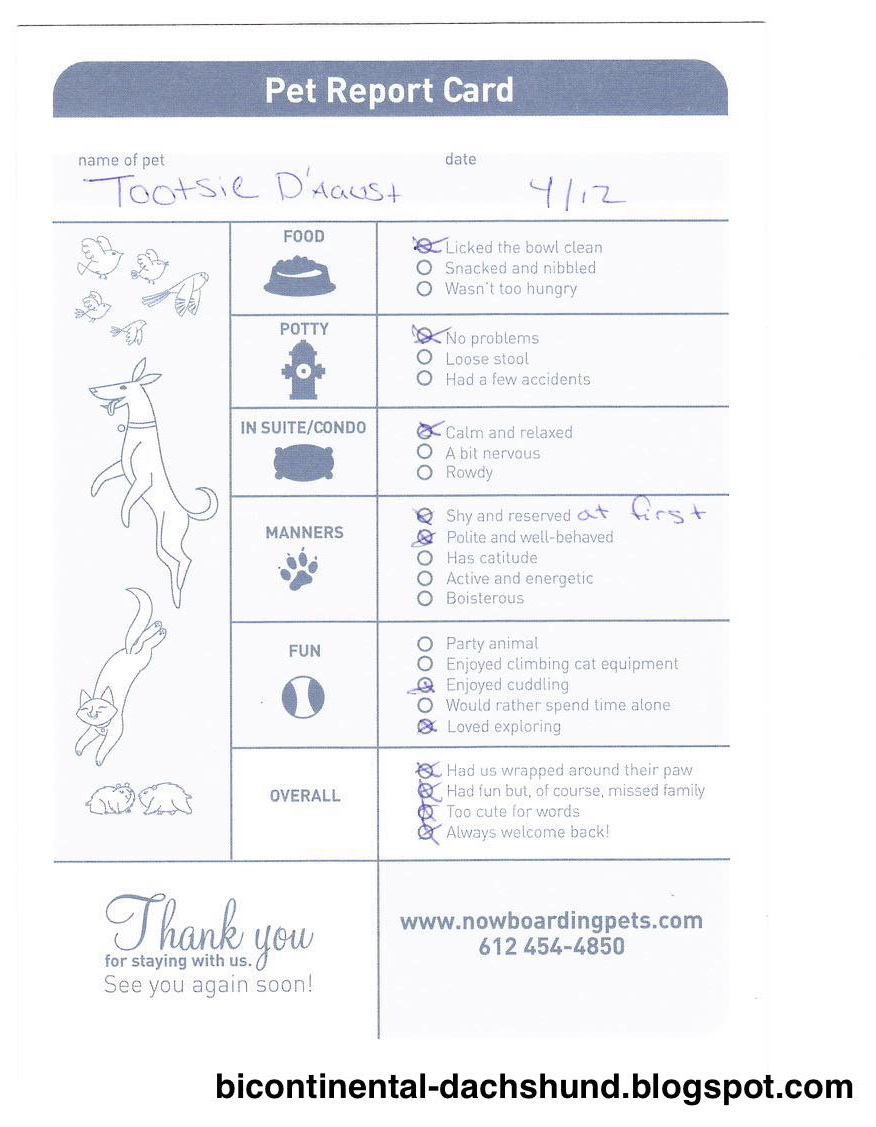 Bicontinental Dachshund Now Boarding Tootsie Did Great Because Of Your Care Staff Was Compionate Skilled And Professional We Love Her Report Card Call It An Accomplishment