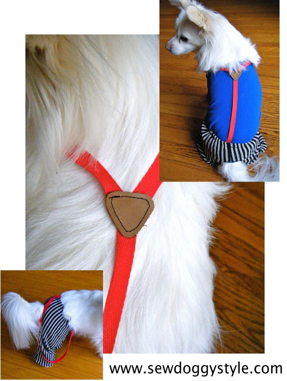 Sew DoggyStyle Sebastian Weighs In How Should a Dog Wear Pants?