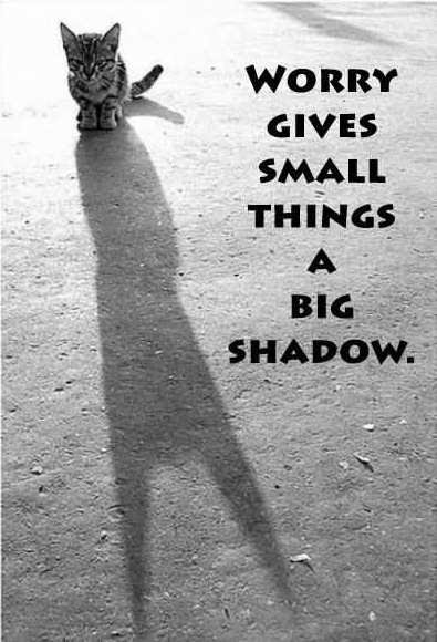 download digital photo camera