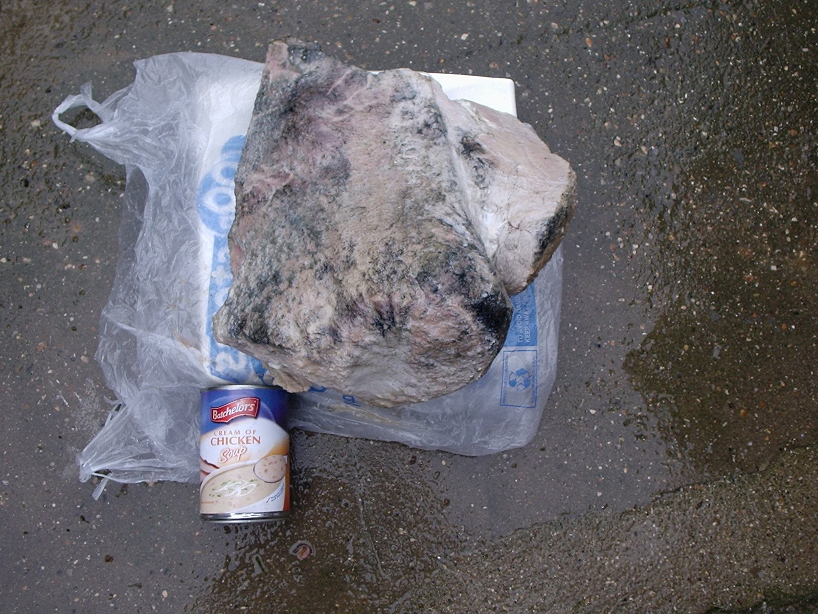 Pegwell Beach Whale