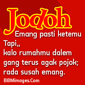 DP BBM Lucu Keren Bergerak DP BBM Lucu Keren Bergerak
