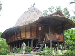 rumah adat Nias