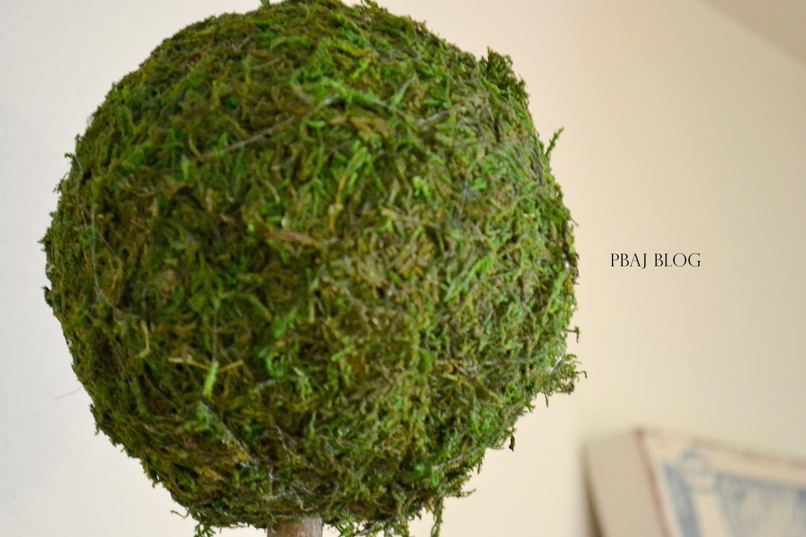 Pre assembled kitchen cabinets DIY Moss Topiary