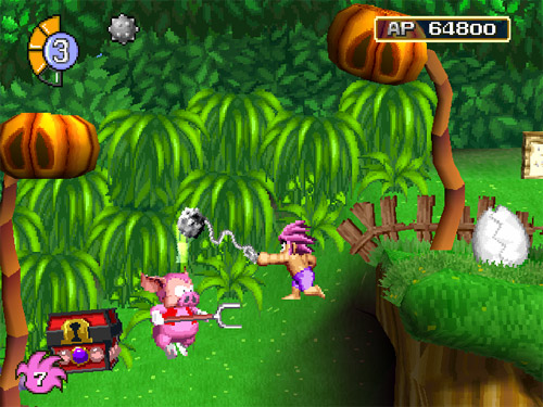 Tomba attacks an evil pig