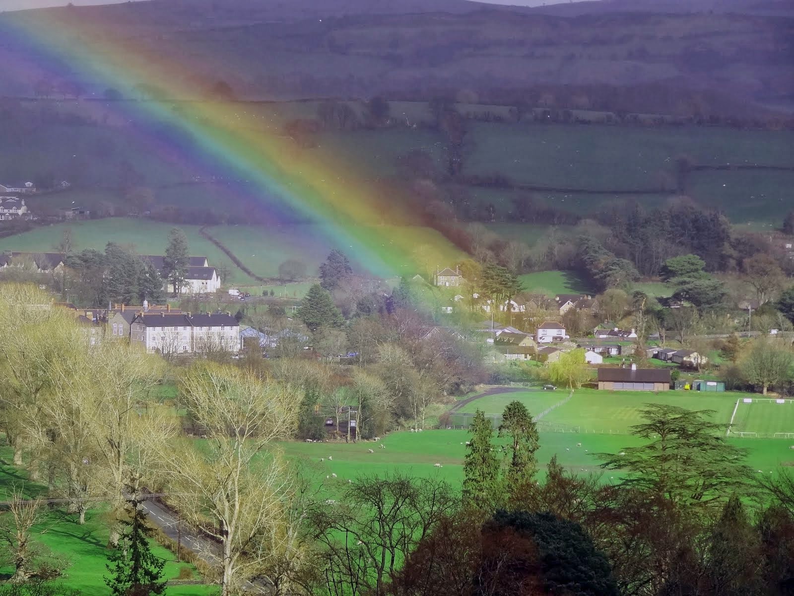 Something about a rainbow