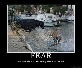 Funny Pics Funny Pics