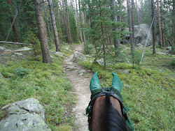 Colorado trails