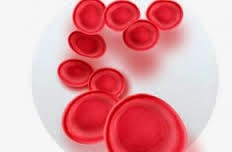 Obat Herbal Penambah Hemoglobin Tanpa Transfusi