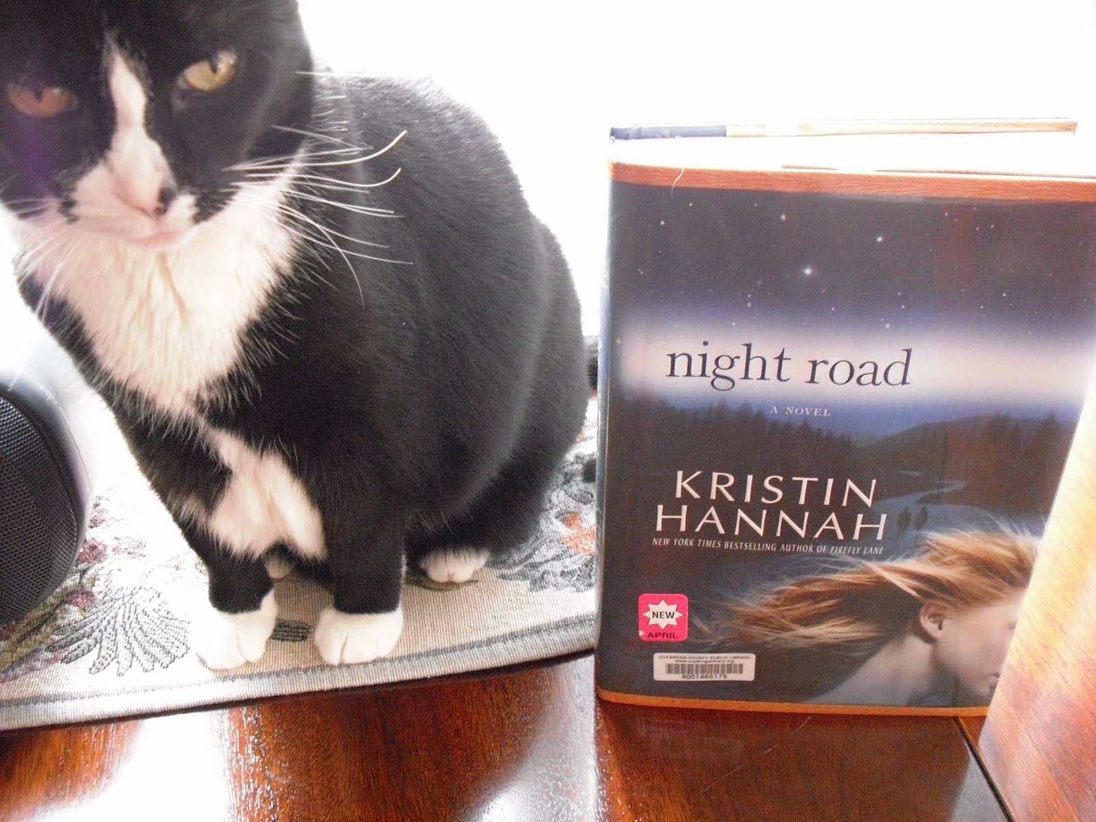 kristin hannah books night road kristin hannah books night road
