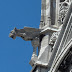 Gargoyle Sighting In Chile