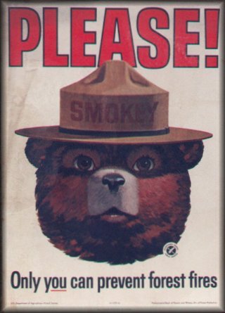 smokey-the-bear-classic.jpg