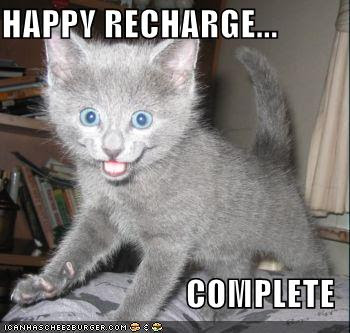 funny-pictures-happy-recharge-grey-kitten.jpg
