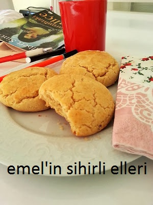 SİRKELİ TARÇINLI TATLI KURABİYE (COOKİE VİNEGAR WITH CİNNAMON) SİRKELİ TARÇINLI KURABİYE NASIL YAPILIR,KURABİYE TARİFİ TARÇINLI KURABİYE ,DEĞİŞİK KURABİYE TARİFLERİ,SİRKELİ HAMUR İŞLERİ ,SİRKELİ KURABİYE ,BASİT DEĞİŞİK KURABİYE TARİFLERİ,DEĞİŞİK KURABİYE TARFİLERİ NASIL HAZIRLANIR.,