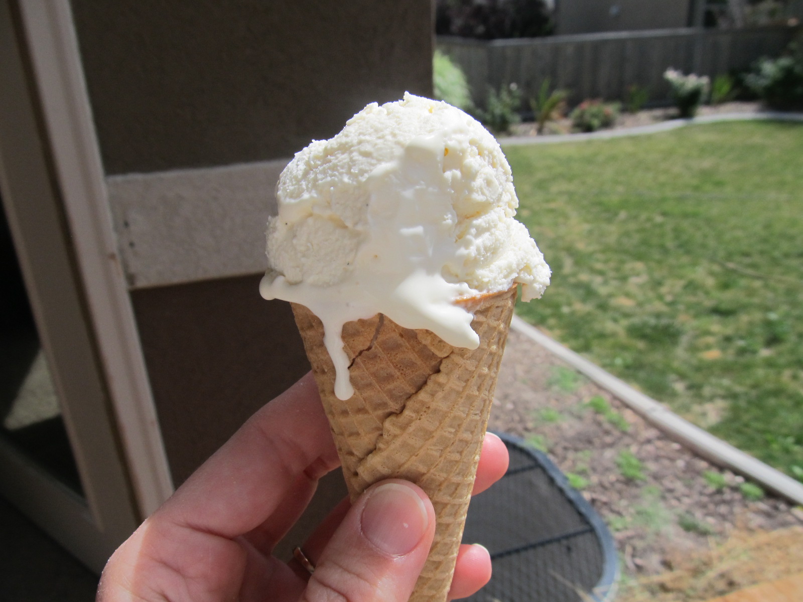 Foodie Family No Churn Ice Cream (Tastes Like Soft Serve!)