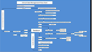 clinical data mangement knowledge hub clinical data clinical data management flow chart