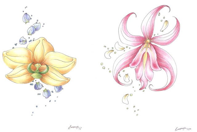 griffe tattoo orquÍdea tattoo