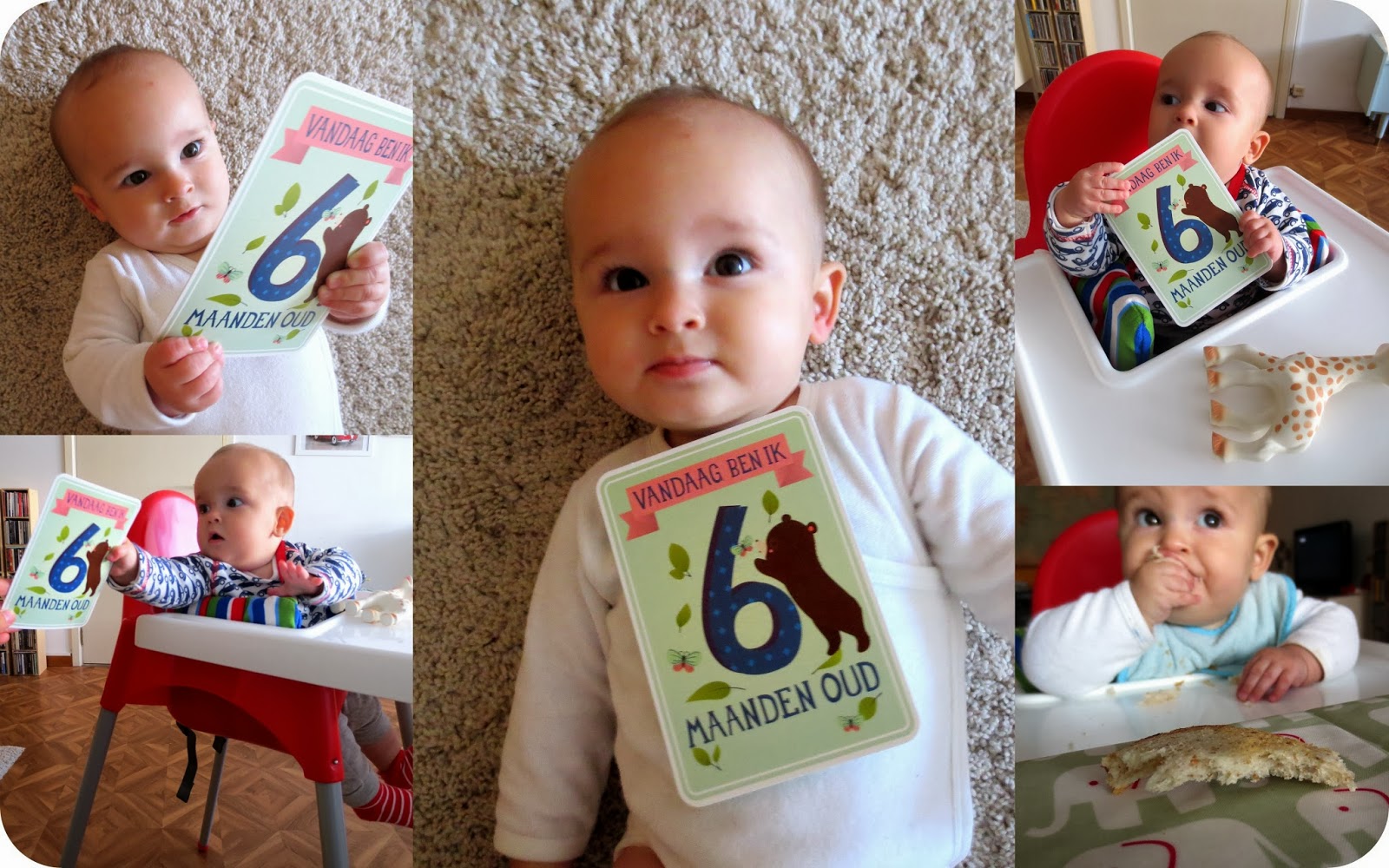 Tiene Milestone Baby Card 6 maanden