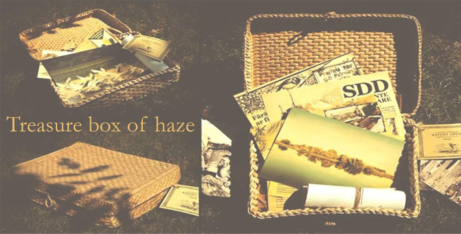 Treasure box of haze