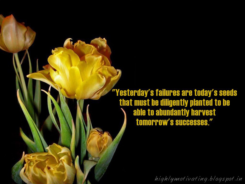 http://4.bp.blogspot.com/-LggTFs_R3kQ/T5LjMLnQikI/AAAAAAAABg4/pT1RAScxKsQ/s1600/failure%20sedds.jpg