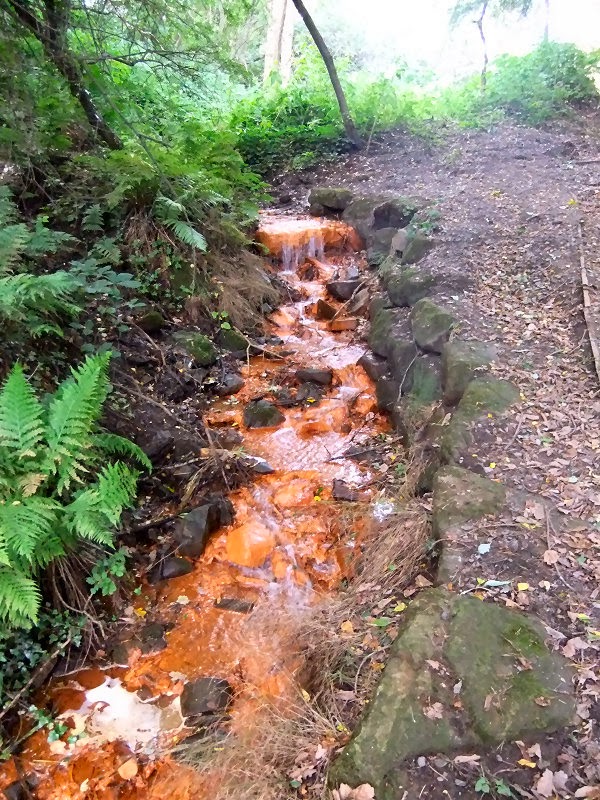 Photographs Of Newcastle Blaydon Burn
