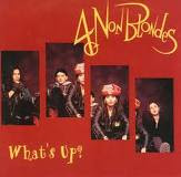 9. 4 Non Blondes - What`s Up