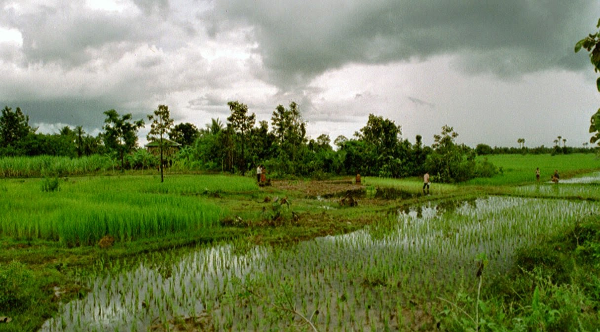 i remember exploring around here i lived in siem reap 6 months teaching english and documenting the inscriptions i doubt i took pictures of much except i remember exploring around here i lived in siem reap 6 months teaching english and documenting the inscriptions i doubt i took pictures of much except