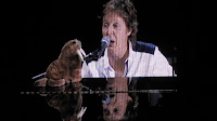 paul mccartney bonnaroo 2013 ode to odobenine i am the walrus