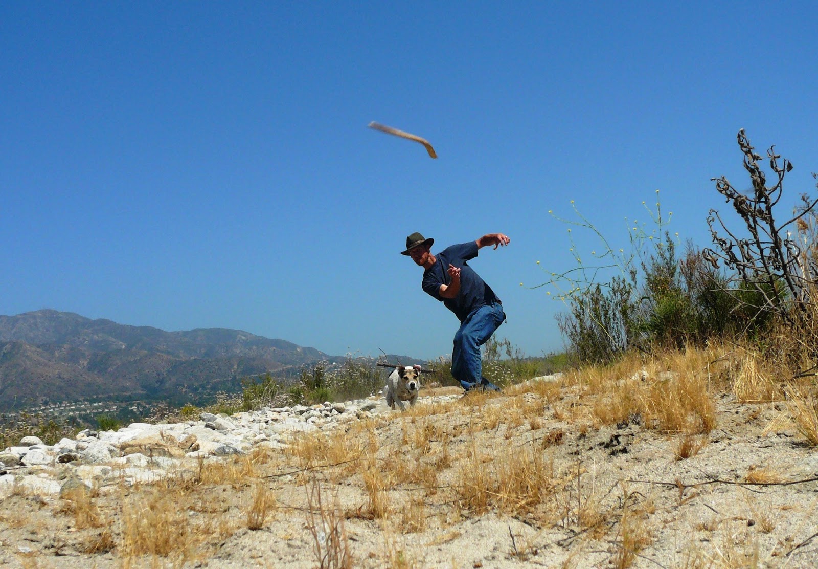 Countryman Foraging California's Wild Side Throwing Sticks and