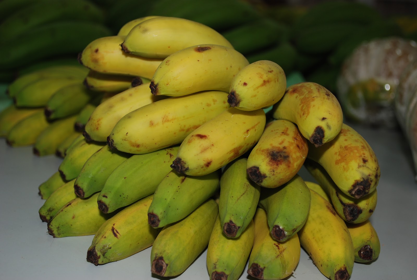 A Caribbean Garden Best garden produce of the world