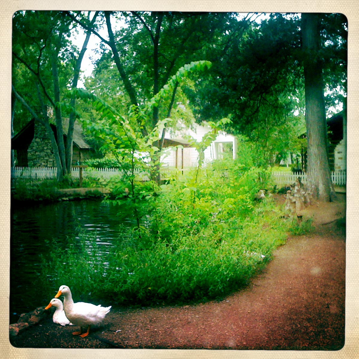 The Duck Pond in Huntsville, Texas
