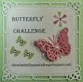 Butterfly challenge