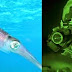 Squid cells can make soldiers invisible