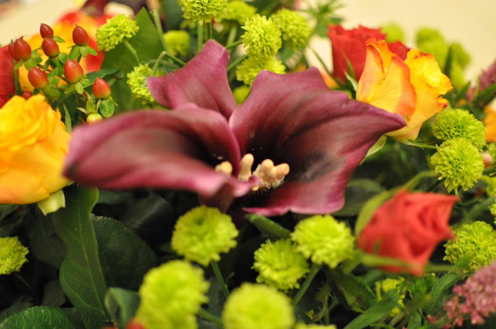 Blooms: november 2012