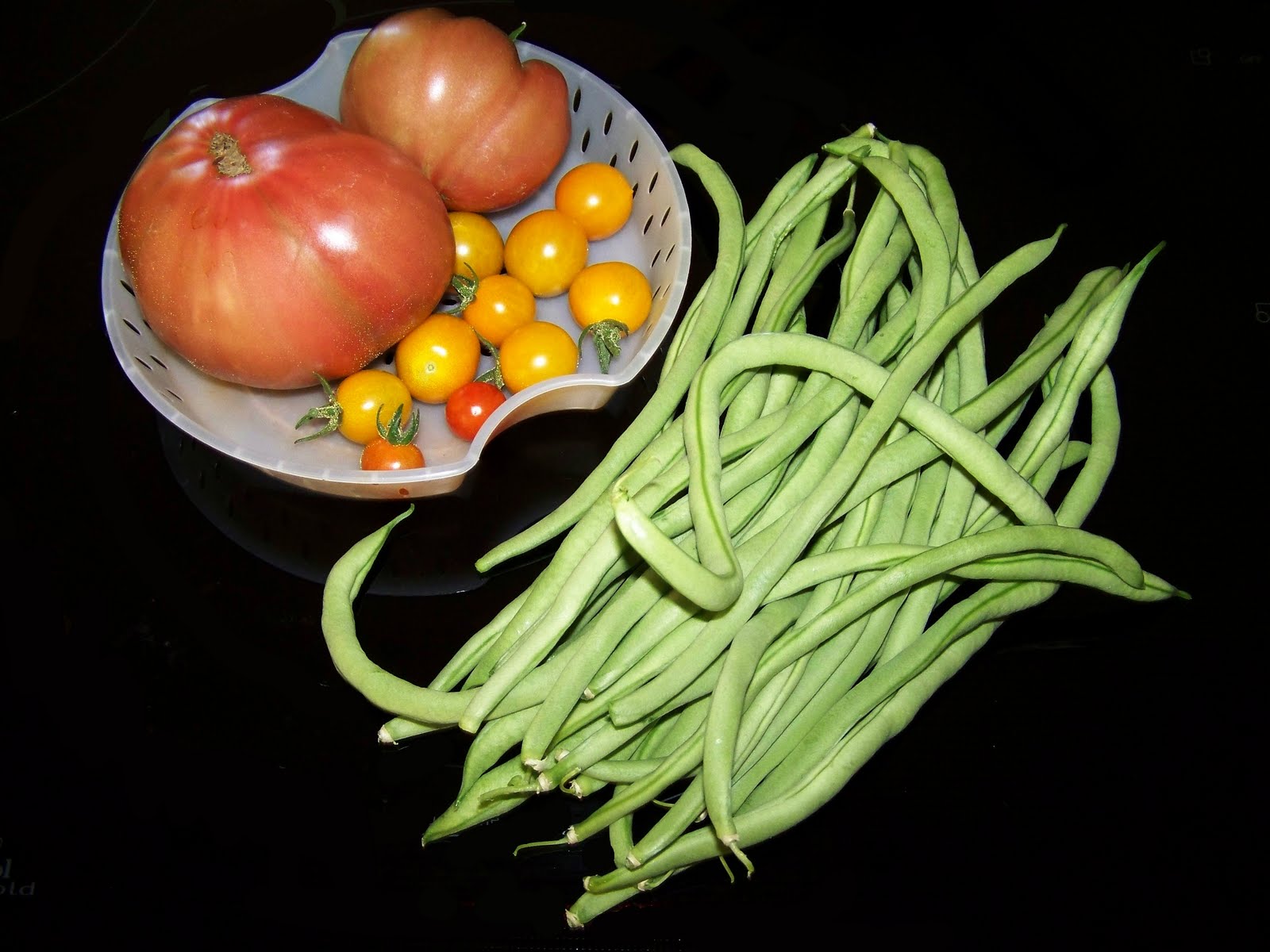 7/30 - The Fortex beans are making Granny very happy! 7/30 - The Fortex beans are making Granny very happy!
