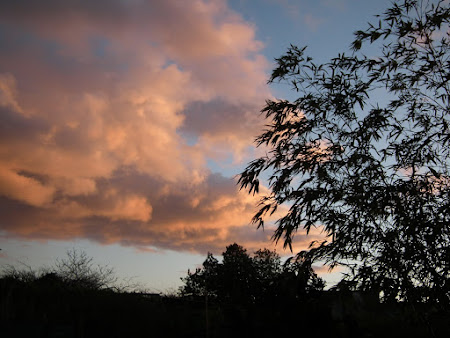 Sunset above Hortus Godotii