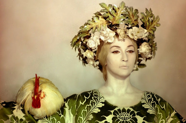 7%2B%25D0%25A6%25D0%25B2%25D0%25B5%25D1%