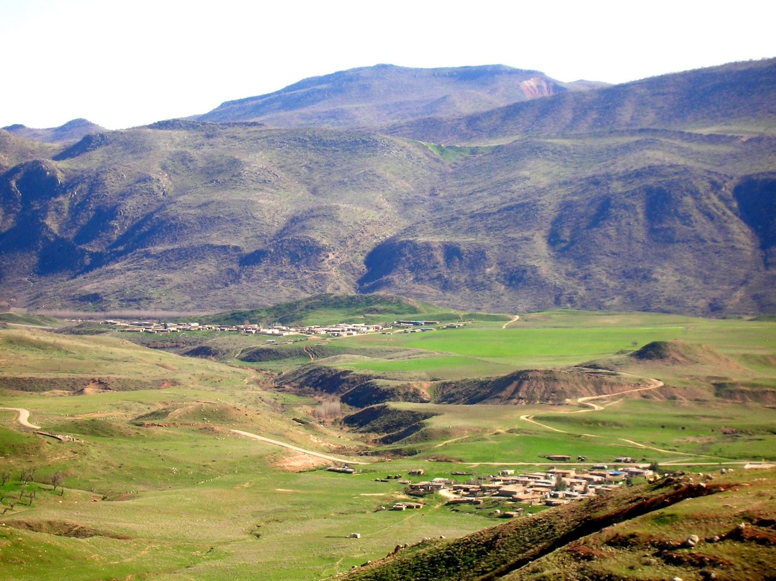 Precies The Contrarian Olie In Kurdistan