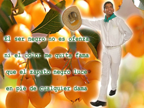 Que son los amorfinos? Que son los amorfinos?