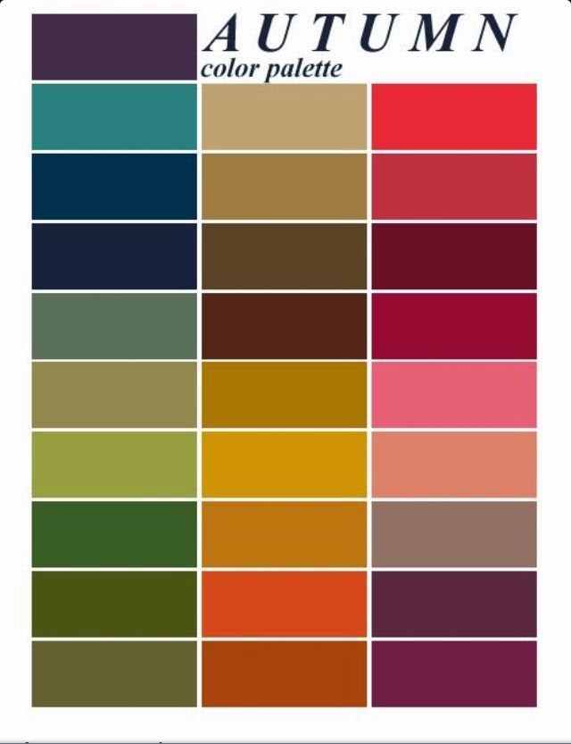 värioppi, värit, summer color palette