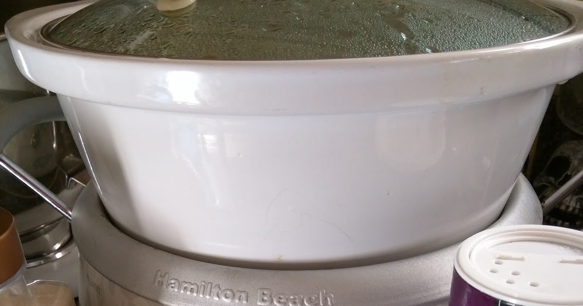 The Dog Geek DIY Dog Homemade Bone Broth for Picky Dogs