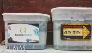 Tips Ampuh Mengurangi Bau Kotoran Ayam Bangkok
